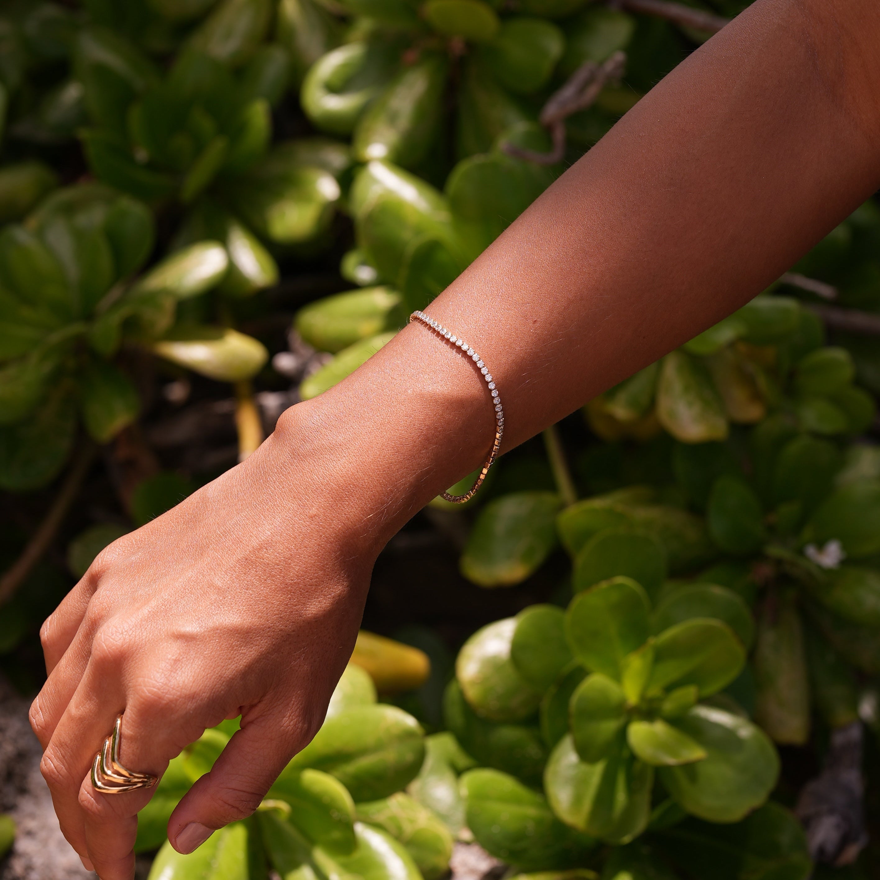Lunette Bracelet