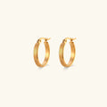 Wynn Gold Earrings